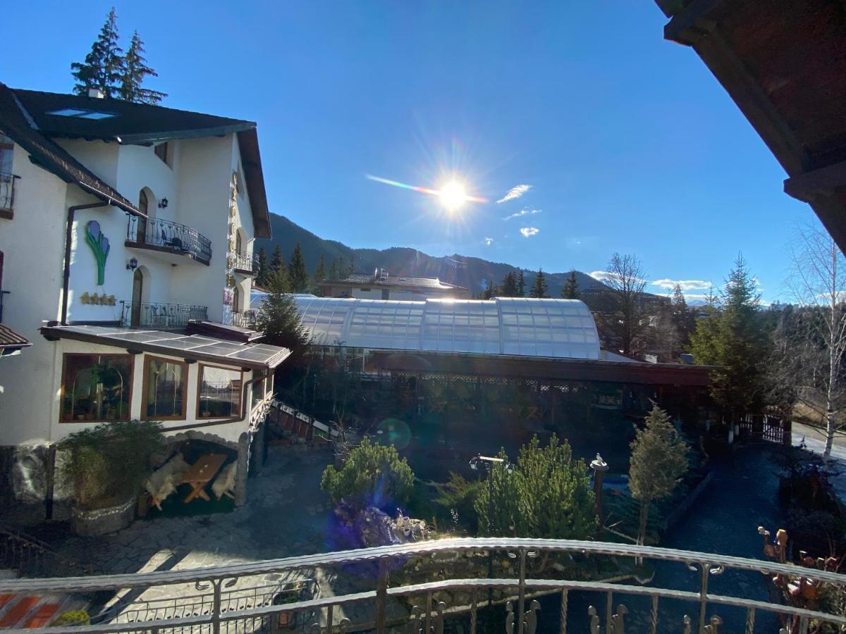 Pensiunea Crocus - Sauna & Billiard Poiana Brasov Esterno foto