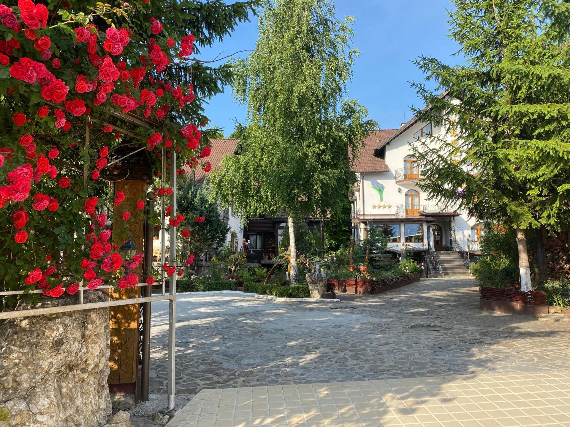 Pensiunea Crocus - Sauna & Billiard Poiana Brasov Esterno foto