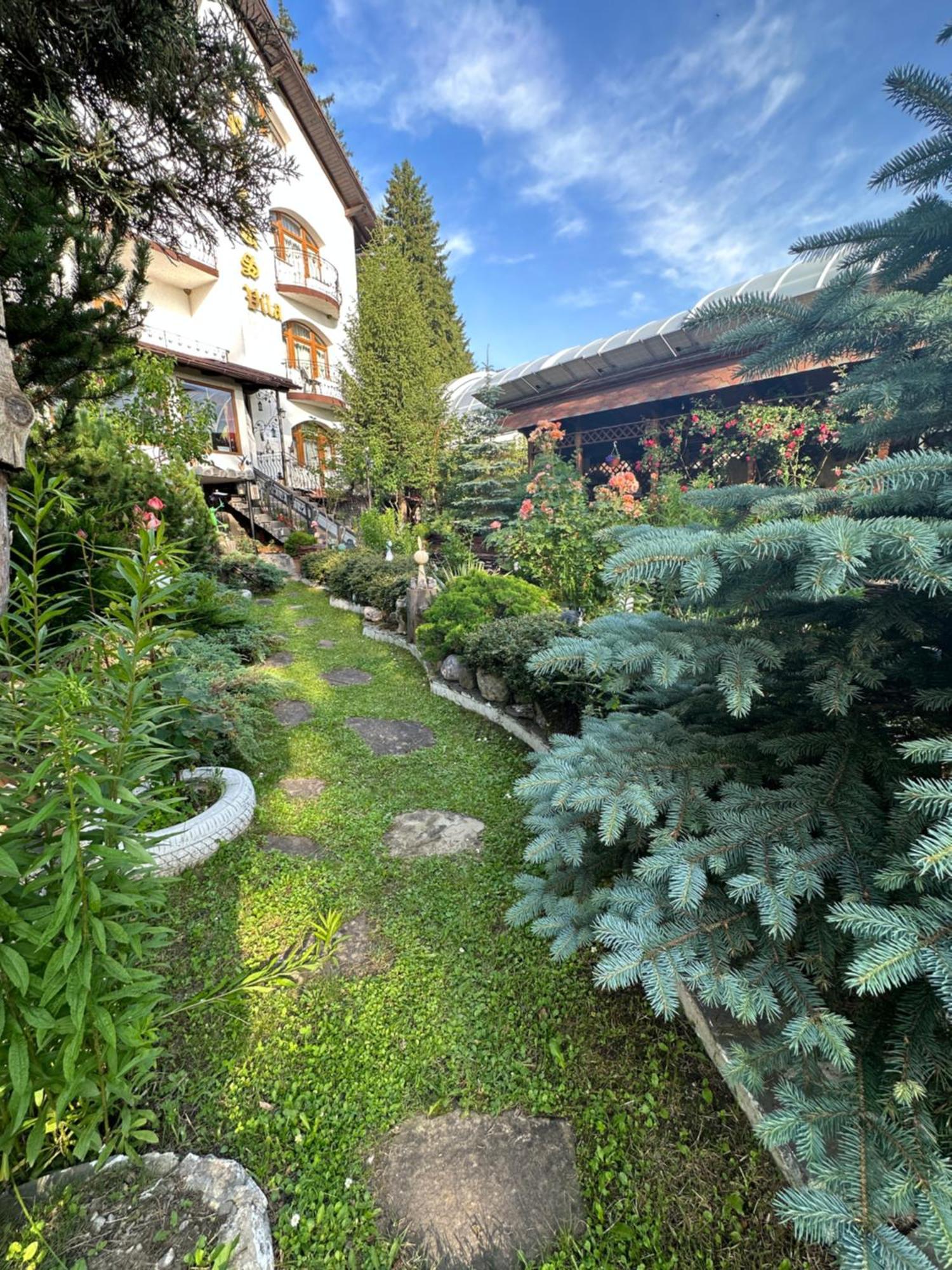 Pensiunea Crocus - Sauna & Billiard Poiana Brasov Esterno foto