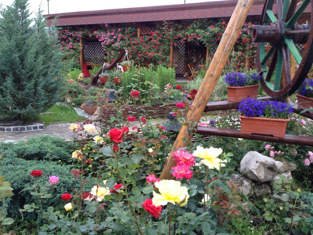 Pensiunea Crocus - Sauna & Billiard Poiana Brasov Esterno foto