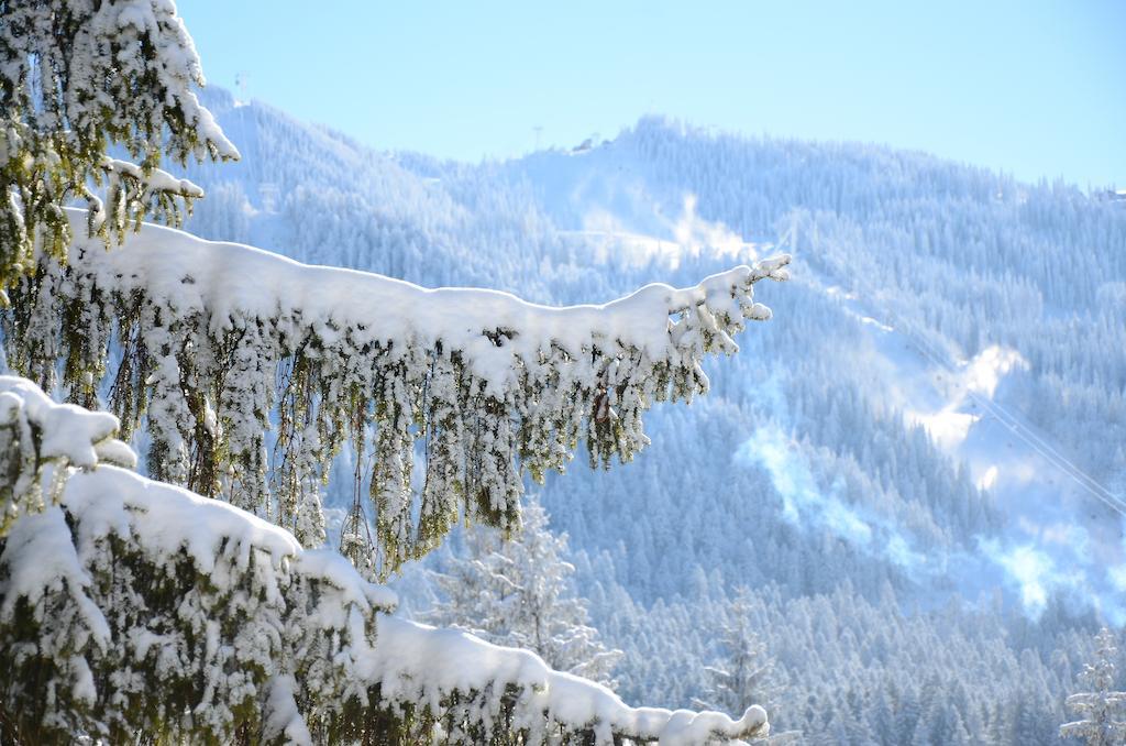 Pensiunea Crocus - Sauna & Billiard Poiana Brasov Esterno foto